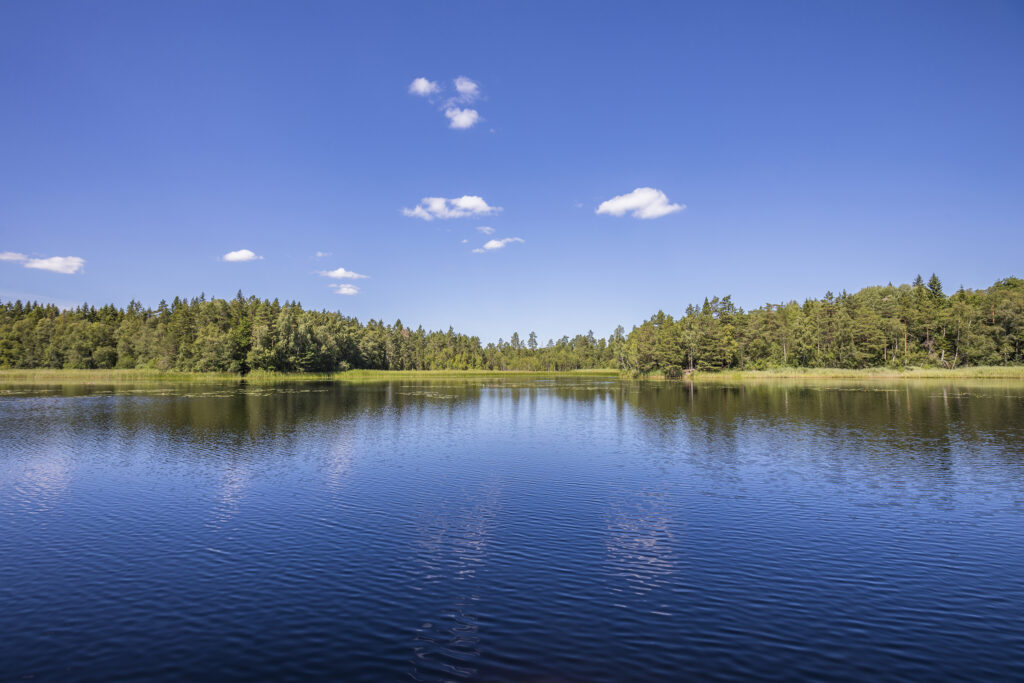 Lake Rural Water
